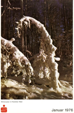 Blatt 3   Winterzauber Im Hiesfelder Wald.webp
